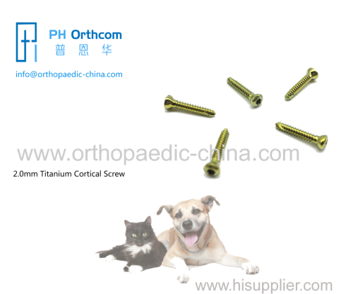 2.0mm Titanium Cortical Stardrive Screw for veterinary use