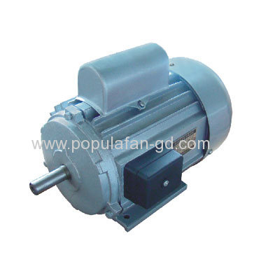 Single phase induction motor