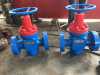 WKM Expanding Manual Gate Valve API6A