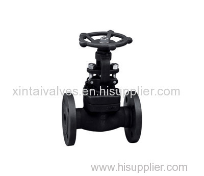 API FORGED FLANGE GLOBE VALVE