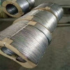 Hot dipped galvanized iron wire