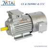 YVF2 Series Converter-Fed Variable Frequency Three-Phase Asynchronous Motor