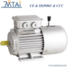 YEJ Series Electromagnetic Brake Asynchronous Motor