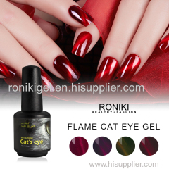 RONIKI Hot Flame Cat Eye Gel Polish Cat Eye Gel Cat Eye Gel Polish Cat Eye Gel factory Cat Eye Gel Polish
