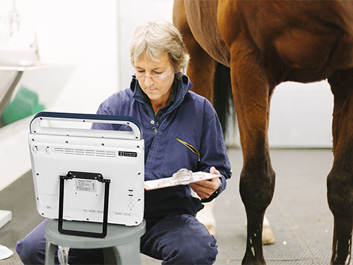 Compact Pad Touch B mode Veterinary Ultrasound Scanner