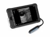 First Smart Bovine Ultrasound for 28th Day Pregnancy Detection