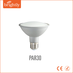 9W LED PAR30 IP44 Plastic housing