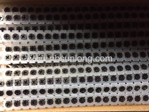 Collated strip drywall screw