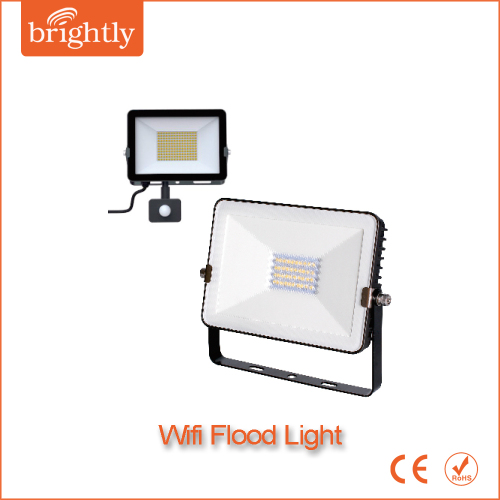 Wifi Smart Flood Light