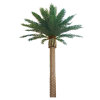 Wholesale tourist attractions artificial outdoor decorative canary date palm tree