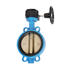 worm gear butterfly valve