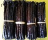 Higth Quality dried vanilla beans