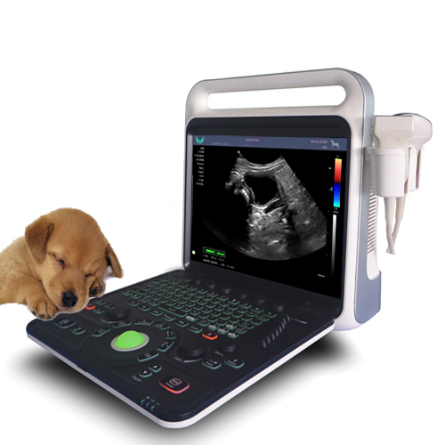 Pet or Veterinary Portable Full Digital Color Doppler Ultrasound Diagnostic System