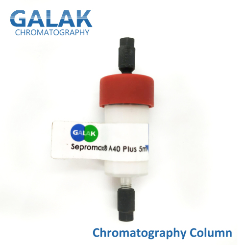 Ion-exchange liquid chromatography PSDVB hplc column/medium/resin