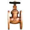 Bronze Rising Stem Gate Valve