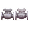 Cast Iron Swing Check Valve