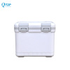 6L mini portable cooler box for medicine vaccine blood collection