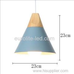 euroliteLED Single-Head LED Chandelier Nordic Modern Simplicity Pendant Lamp Hanging Wire 120cm Freely Adjustable