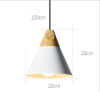 euroliteLED White Single-Head LED Chandelier Nordic Modern Simplicity Pendant Lamp Hanging Wire 120cm Freely Adjustable