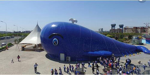 Inflatable whale island marine ball park