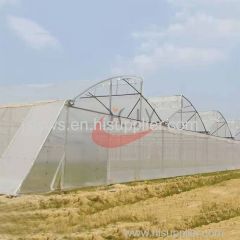 Saw Tooth Greenhouse China Glass Greenhouse manufacturer