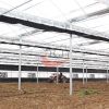 Agriculture Plastic Large Multi Span Greenhouse for Sale Plastic Film Multi-Span Greenhouses