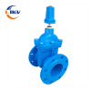 Buried Gate Valve Underground Soft Sealed Flange Gate Valve