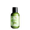 Green tea moisturizing lotion hotel body lotion