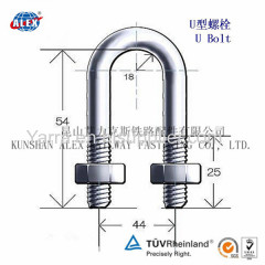 Stainless Steel DIN U-Bolt/Customized Rail Anchor Bolt with Nut