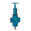 API-6A Hydraulic Frac Gate Valve for Frac Tree & Hydraulic Fracturing