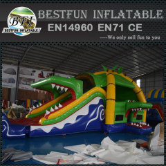 Comercial backyard garden crocodile combo