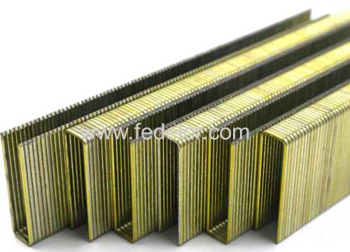 Medium Wire Staple series