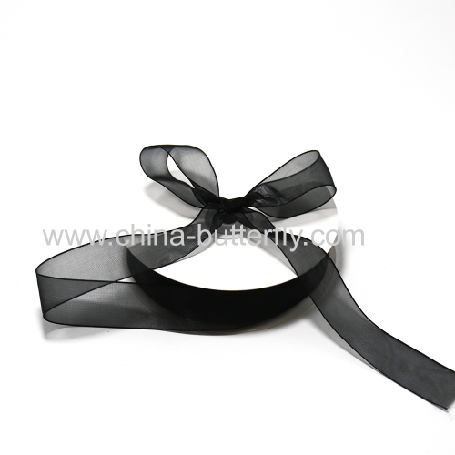 Organza Ribbon With Sewn Edge