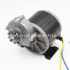 200W 250W 300W PMDC Worm Gear Motor for Park Train