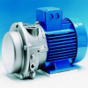 2BV Liquid ring vacuum pump