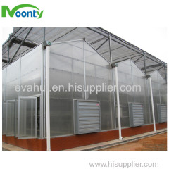 Polycarbonate Venlo Sheer Cover Greenhouse