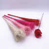 Sisal Cone With Hair Single Rose Tube