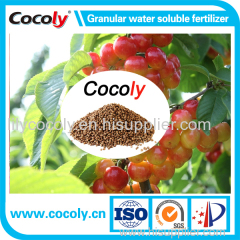 Hot Sell Balanced soil PH Cocoly Fertilizer