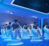 HOT VIRTUAL REALITY EXPERIENCE 9D VR SIMULATOR