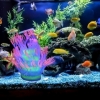 Fluorescent Aquarium Artificial Sea Anemone