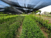 Shade Netting in China