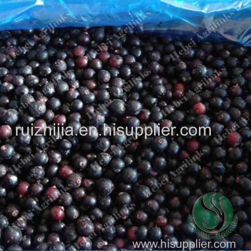 Frozen Blackcurrants For Sale