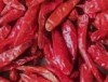 dry red chili stemless