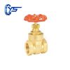 DN 8-100mm Brass Gate Valve 3 way gate valve gate valve manufacturer