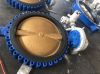 Electric operated Cast Iron Body Bronze Disc Lug butterfly valves