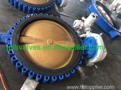 Electric operated Cast Iron Body Bronze Disc Lug butterfly valves