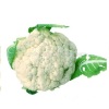 Asian vegetable seeds cauliflower hybrid seed