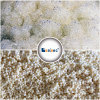 Anion ion exchange resin