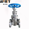 JIS stainless steel gate valve 10K