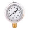 Low Cost 100mm Pressure Gauge (SS Case)